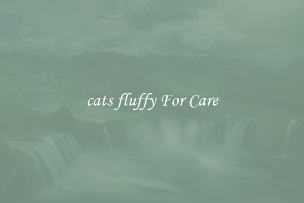 cats fluffy For Care