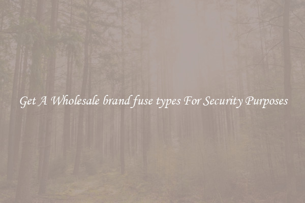 Get A Wholesale brand fuse types For Security Purposes