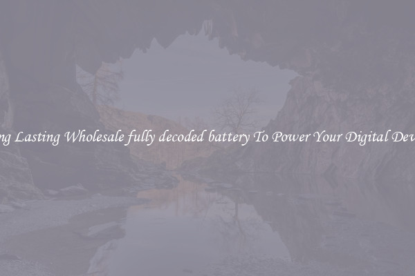 Long Lasting Wholesale fully decoded battery To Power Your Digital Devices