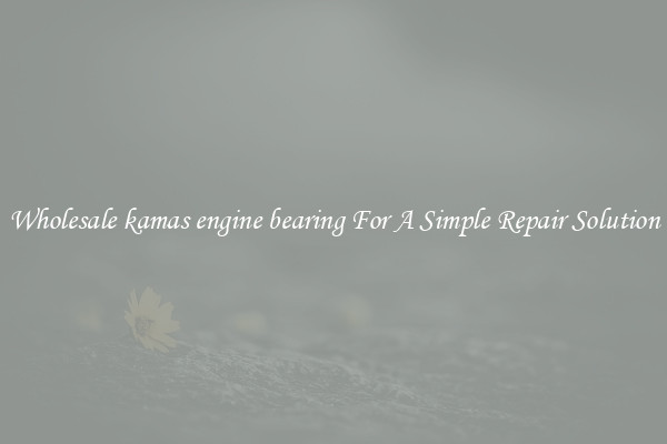 Wholesale kamas engine bearing For A Simple Repair Solution