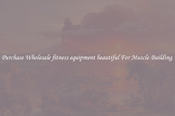 Purchase Wholesale fitness equipment beautiful For Muscle Building.
