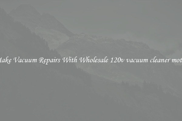 Make Vacuum Repairs With Wholesale 120v vacuum cleaner motor