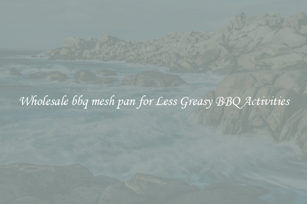 Wholesale bbq mesh pan for Less Greasy BBQ Activities