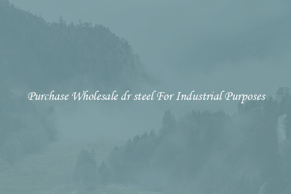 Purchase Wholesale dr steel For Industrial Purposes
