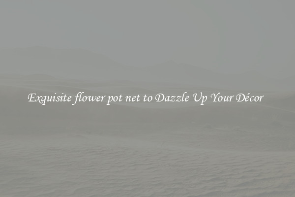 Exquisite flower pot net to Dazzle Up Your Décor  