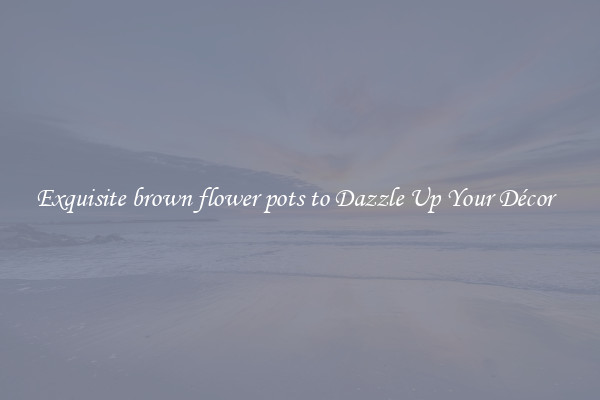 Exquisite brown flower pots to Dazzle Up Your Décor  