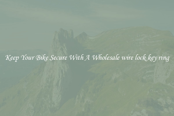 Keep Your Bike Secure With A Wholesale wire lock key ring