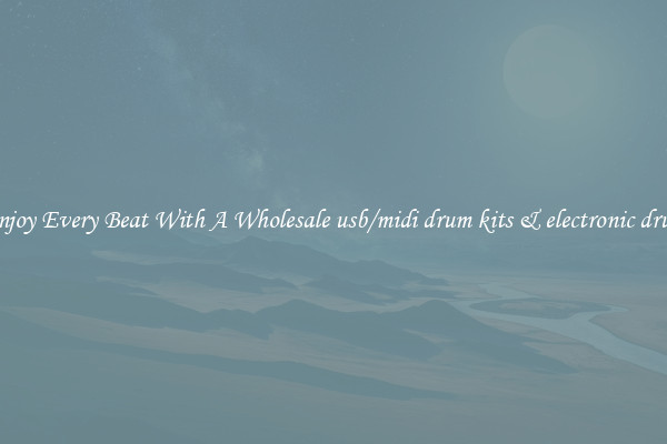 Enjoy Every Beat With A Wholesale usb/midi drum kits & electronic drum