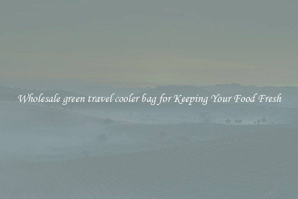 Wholesale green travel cooler bag for Keeping Your Food Fresh