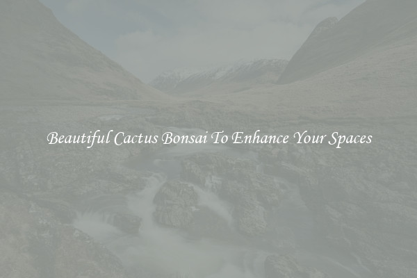 Beautiful Cactus Bonsai To Enhance Your Spaces