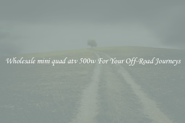 Wholesale mini quad atv 500w For Your Off-Road Journeys