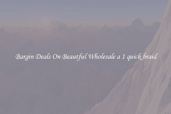 Bargin Deals On Beautful Wholesale a 1 quick braid