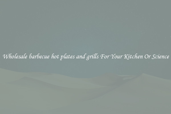 Wholesale barbecue hot plates and grills For Your Kitchen Or Science