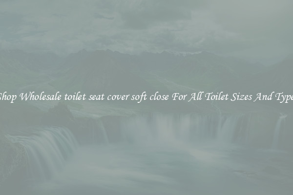 Shop Wholesale toilet seat cover soft close For All Toilet Sizes And Types