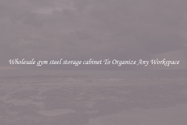 Wholesale gym steel storage cabinet To Organize Any Workspace