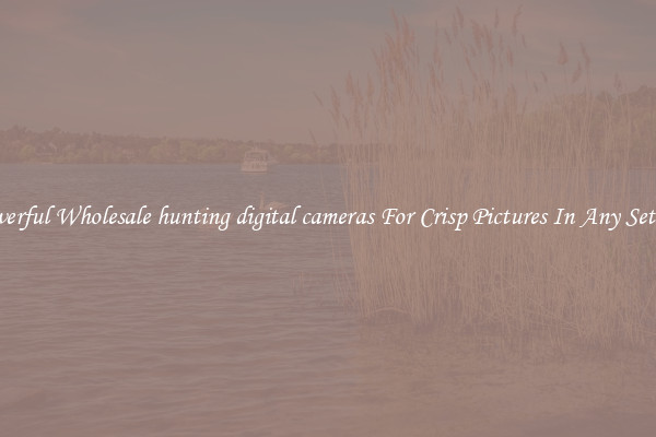 Powerful Wholesale hunting digital cameras For Crisp Pictures In Any Setting