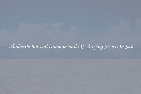 Wholesale hot coil common nail Of Varying Sizes On Sale
