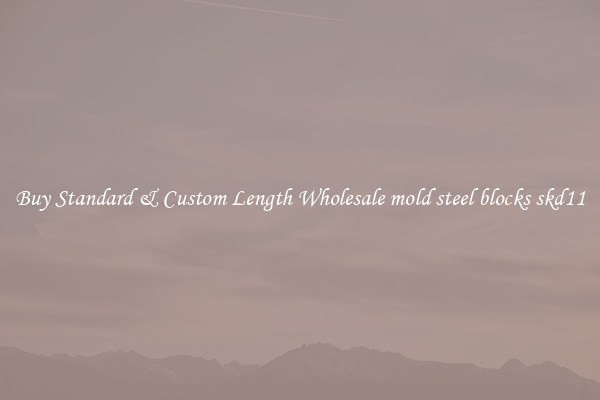 Buy Standard & Custom Length Wholesale mold steel blocks skd11