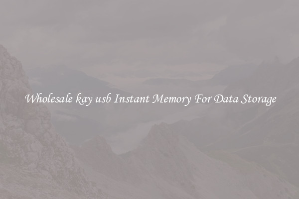 Wholesale kay usb Instant Memory For Data Storage