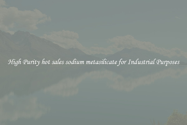 High Purity hot sales sodium metasilicate for Industrial Purposes