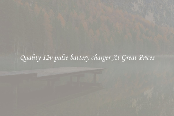 Quality 12v pulse battery charger At Great Prices